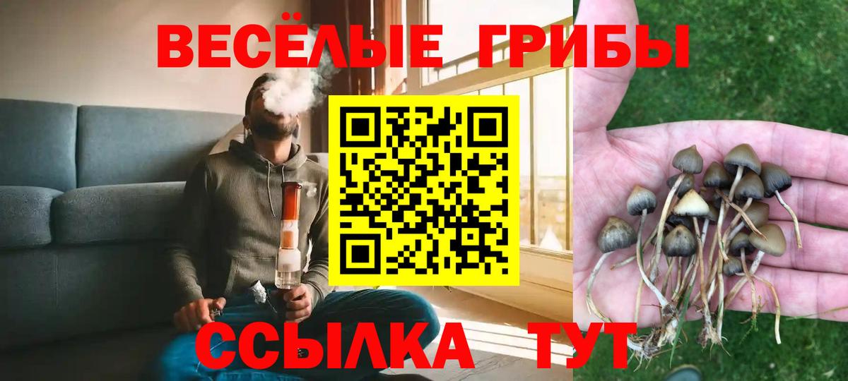 Обь  как найти наркотики  Вход с VPN  Псилоцибиновые грибы мицелий 